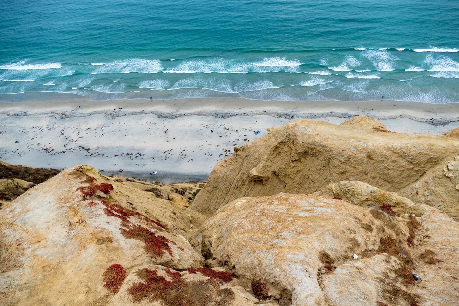 Black's Beach CA aerial view