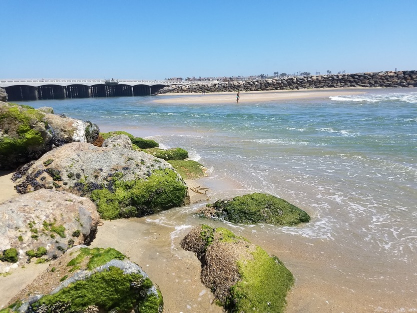 Rocks on Bolsa Chica State Beach California