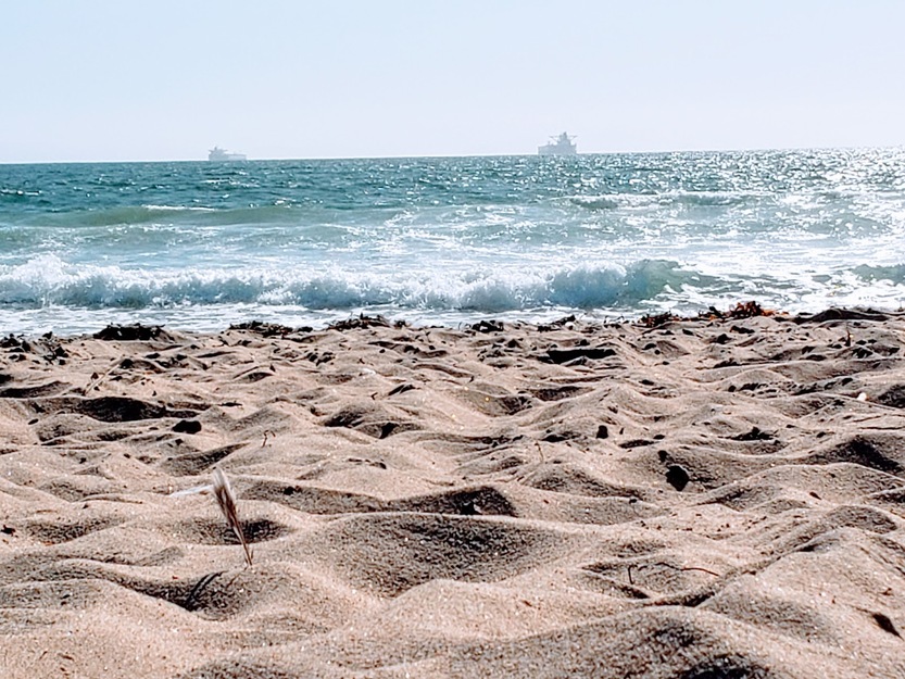 Bolsa Chica Beach California