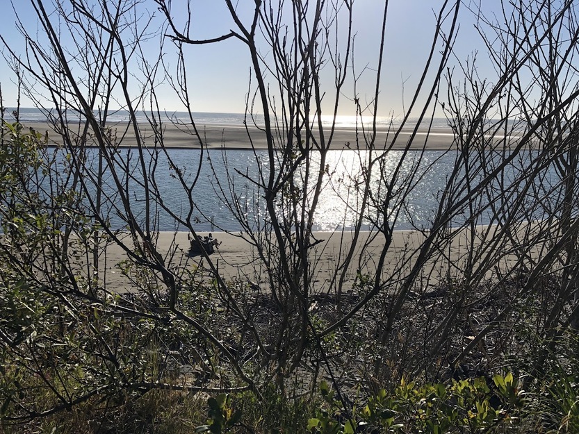 Clam Beach County Park, California