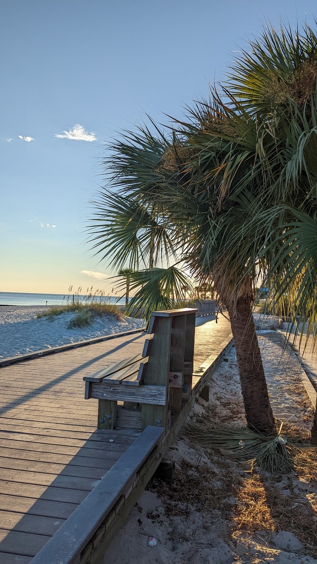 Palms and bench on Mississippi Gulf Coast Beach