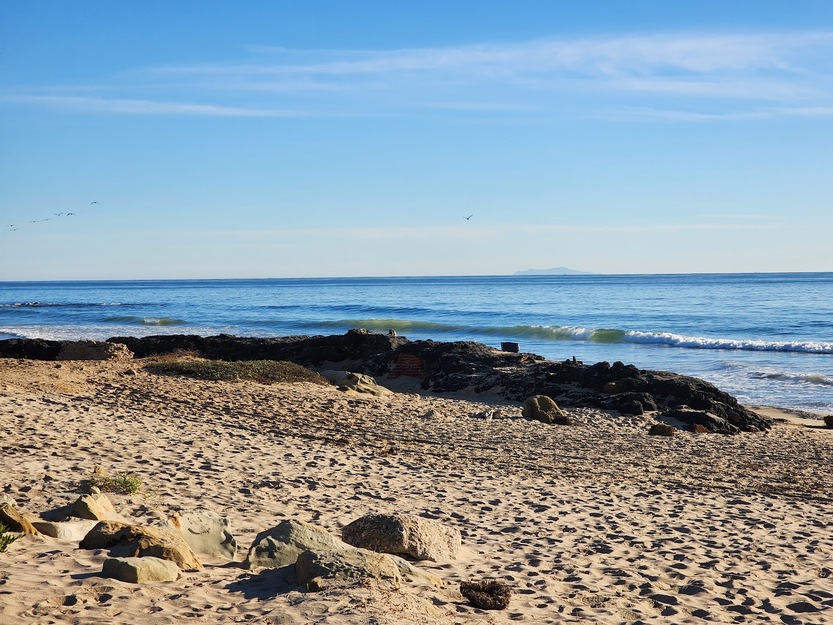 Carpinteria State Beach