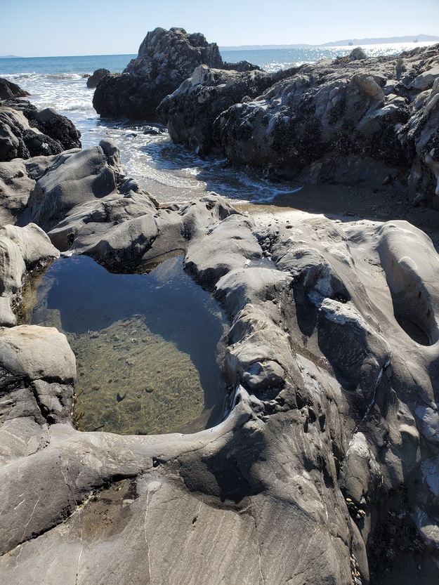 Tide pools on Carpinteria State Beach