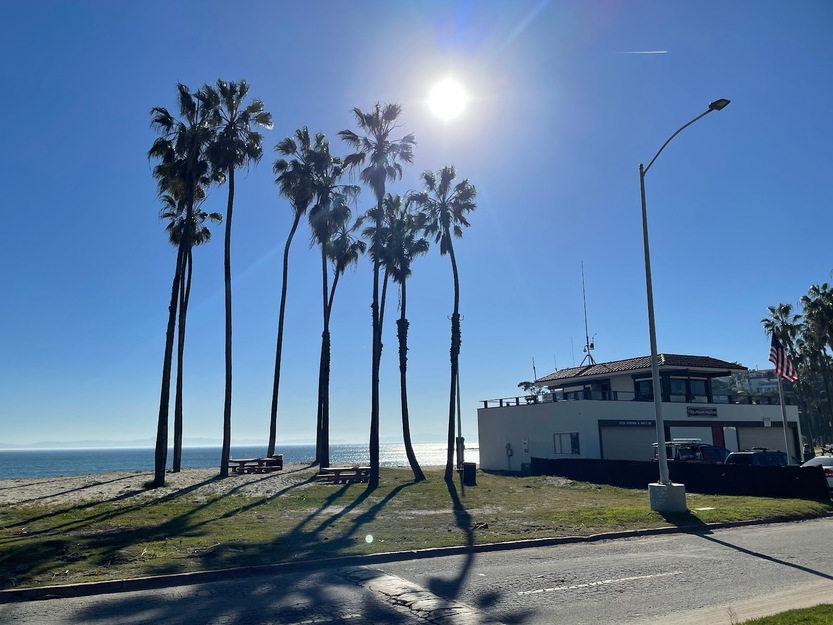 Palms on Cabrillo Beach CA