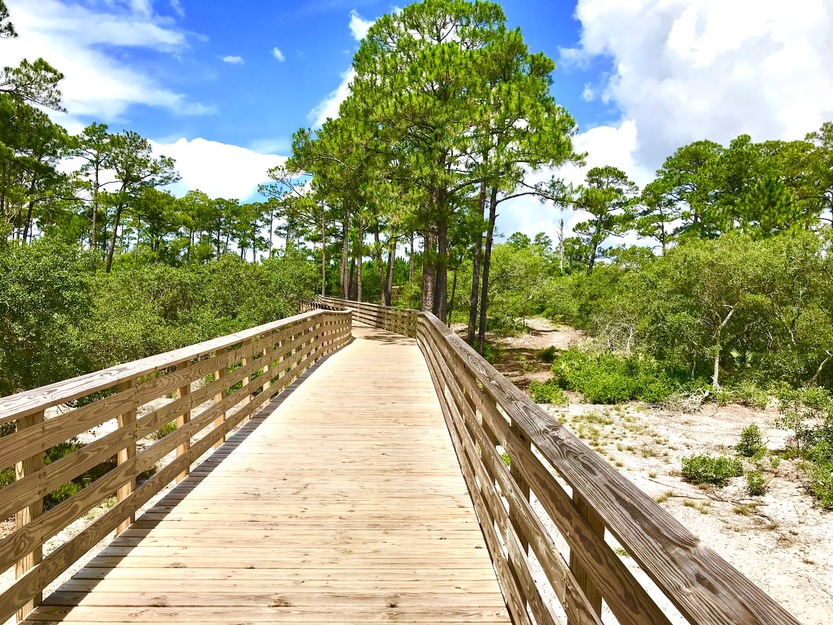 photo by Gulf State Park