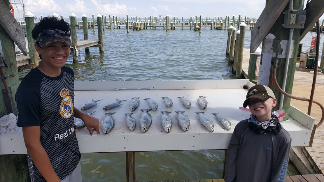 Fish haul