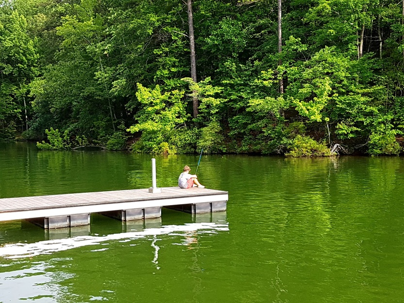 Green lake landscape