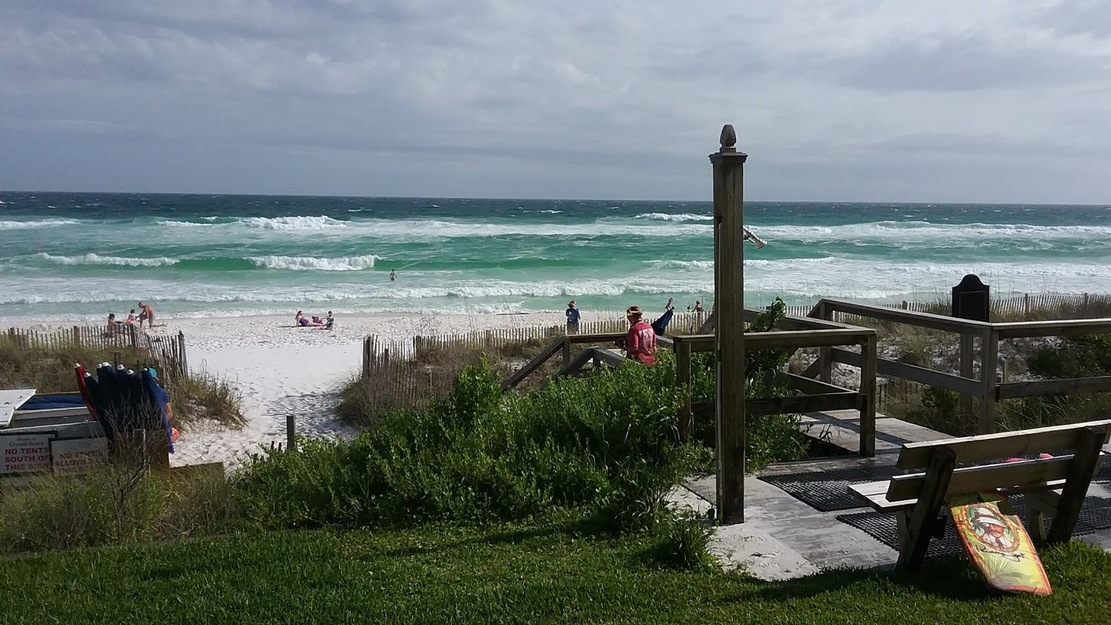 Grassy area near the beach