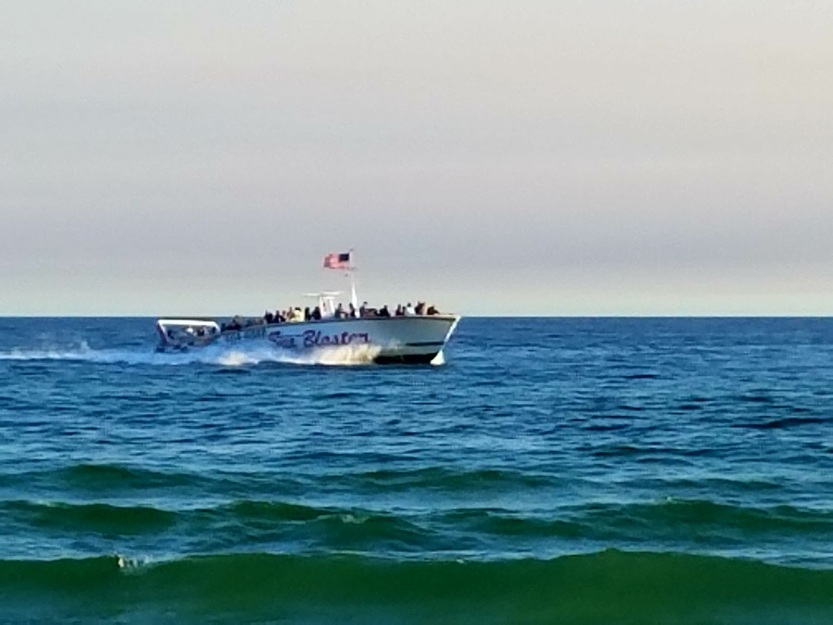 Boat swimming in the sea