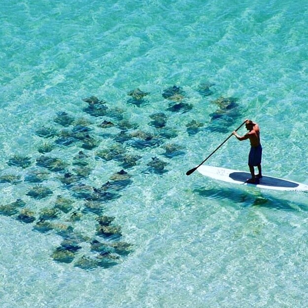 Paddleboarding