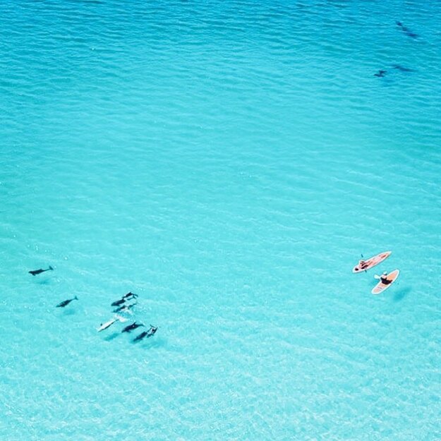 Aerial view of the Gulf waters
