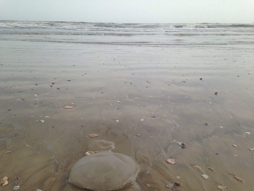 Grey sea water