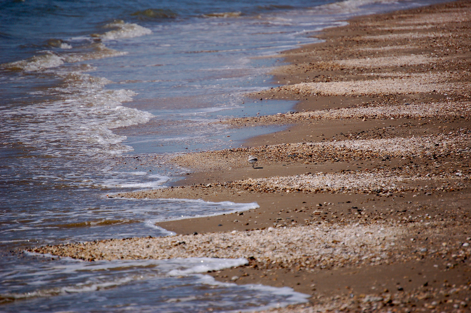 Holly Beach waves