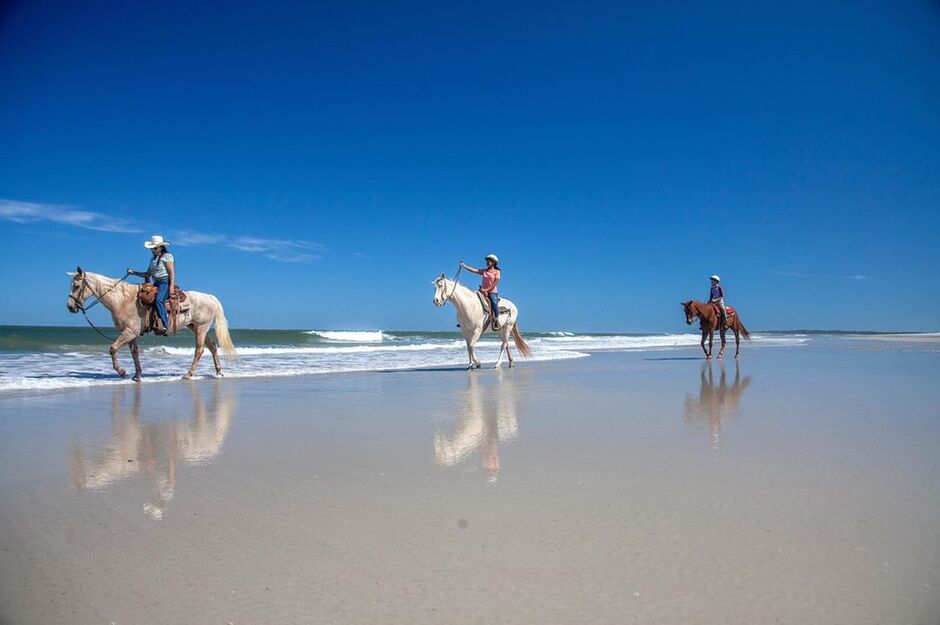 Horse riding on the beach