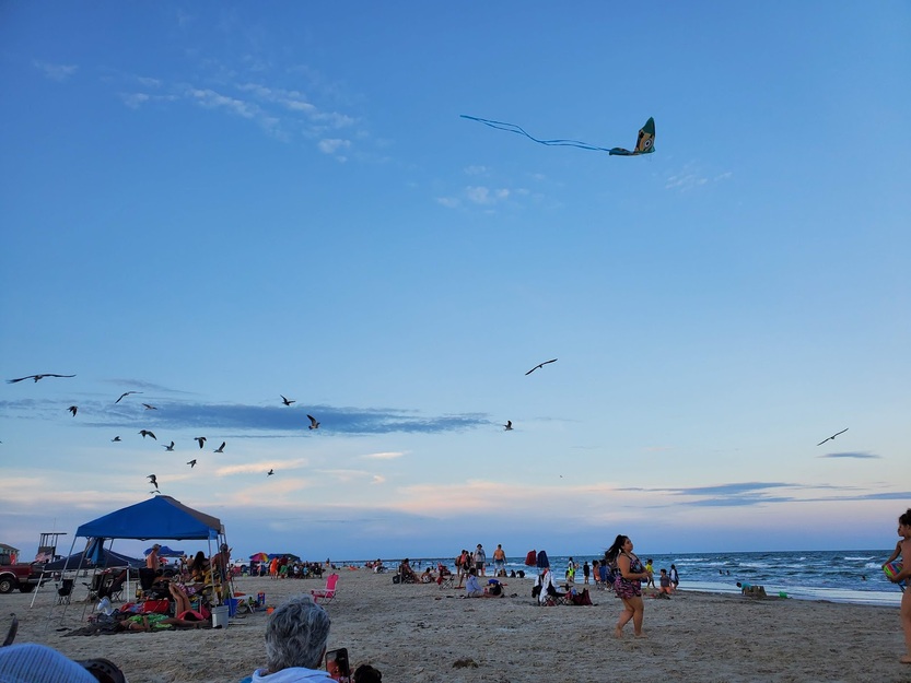 Michael J. Ellis Beach & Seawall
