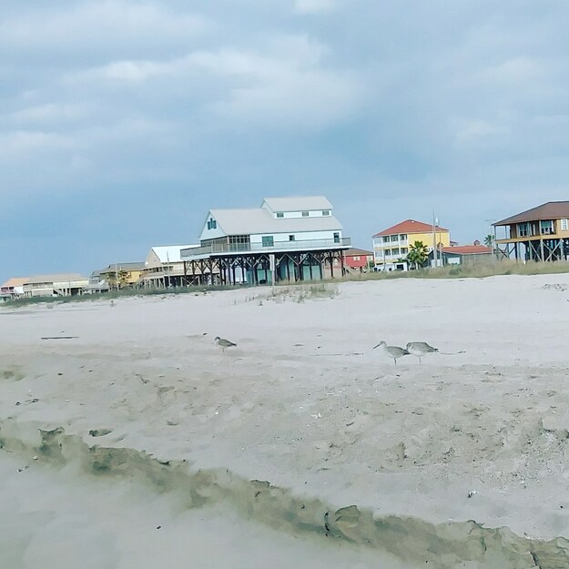 Cabins near the beach