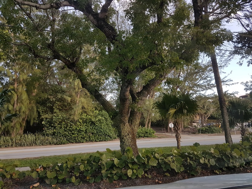 Atlantic Dunes Park