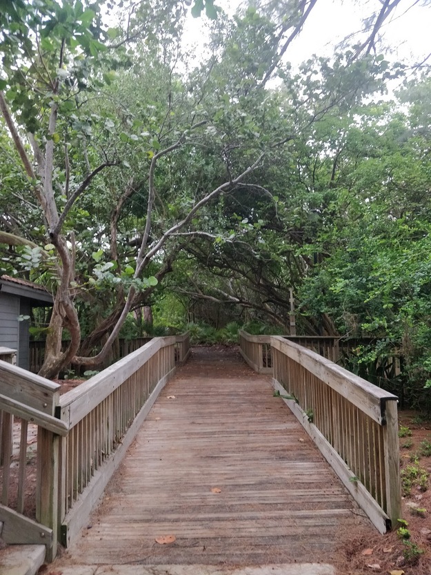 Boardwalk