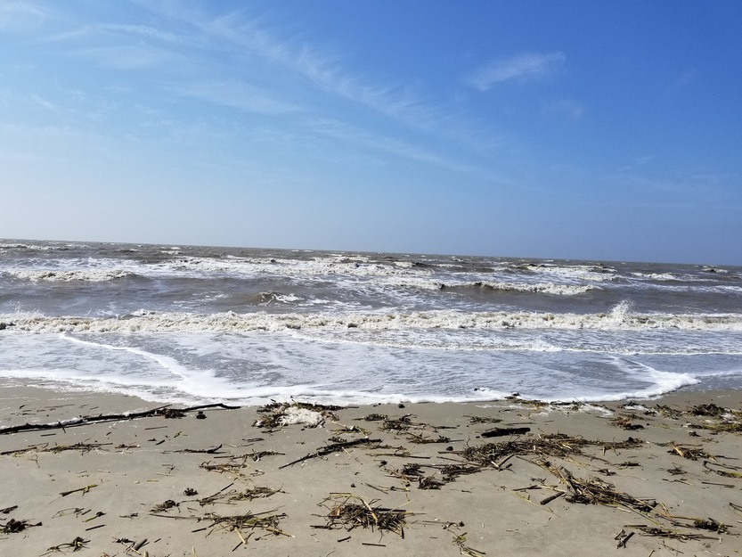 Waves at the beach