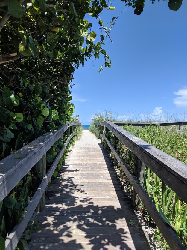 Boardwalk