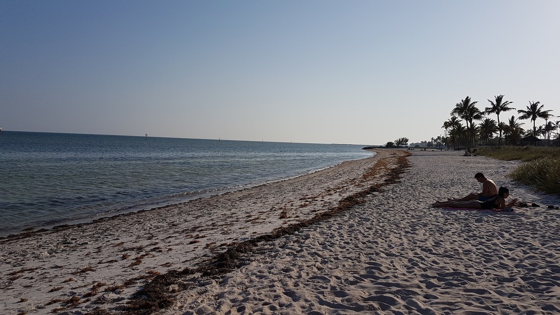 Seashore