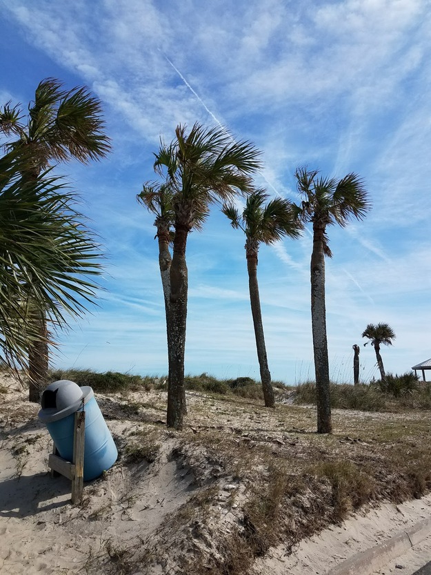 Main Beach Park