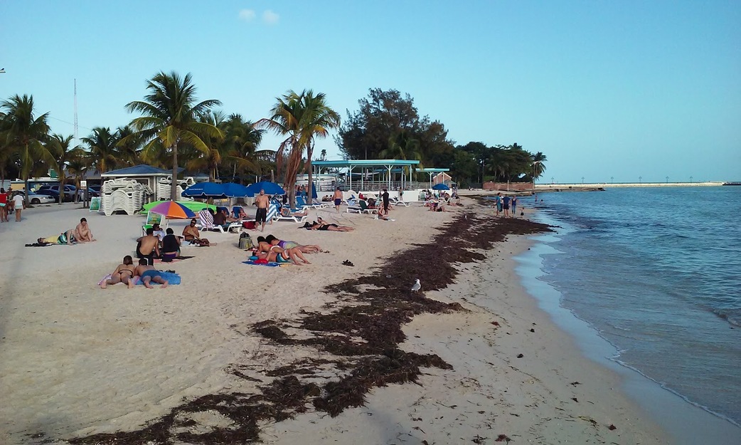 People sunbathing on Higgs Beach