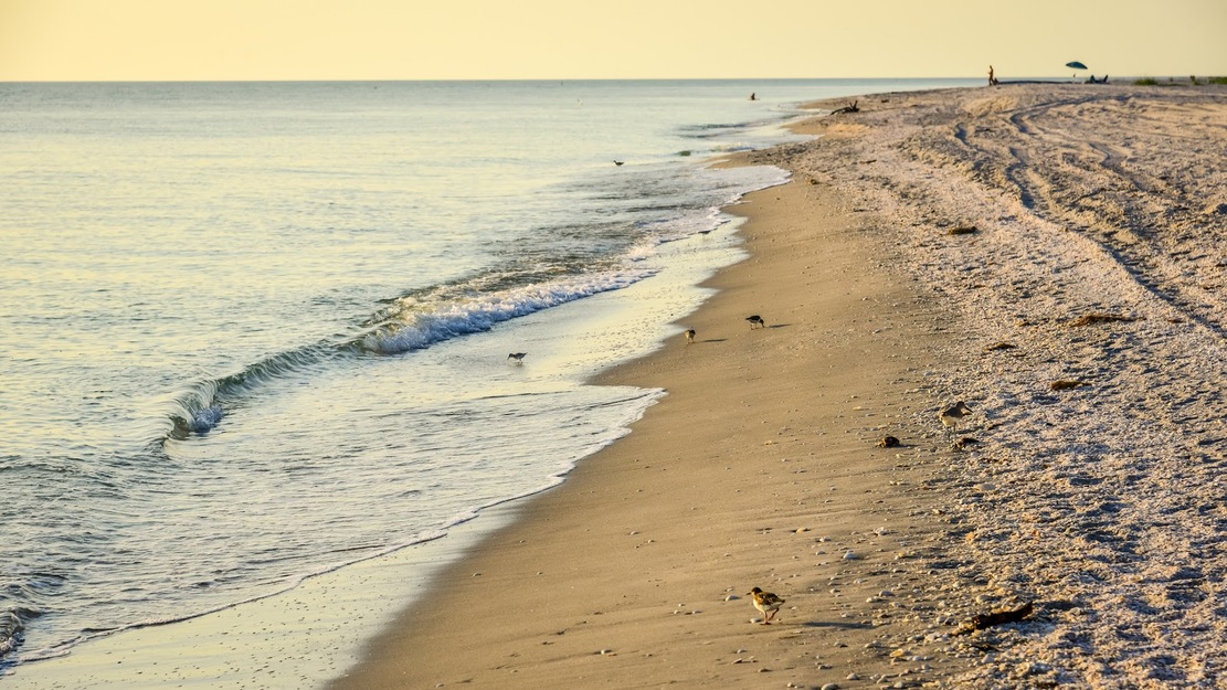 Empty beach