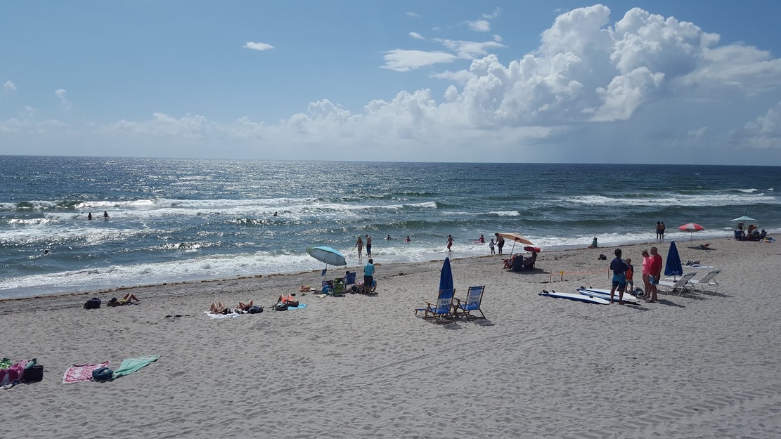 People sunbathing on the beach