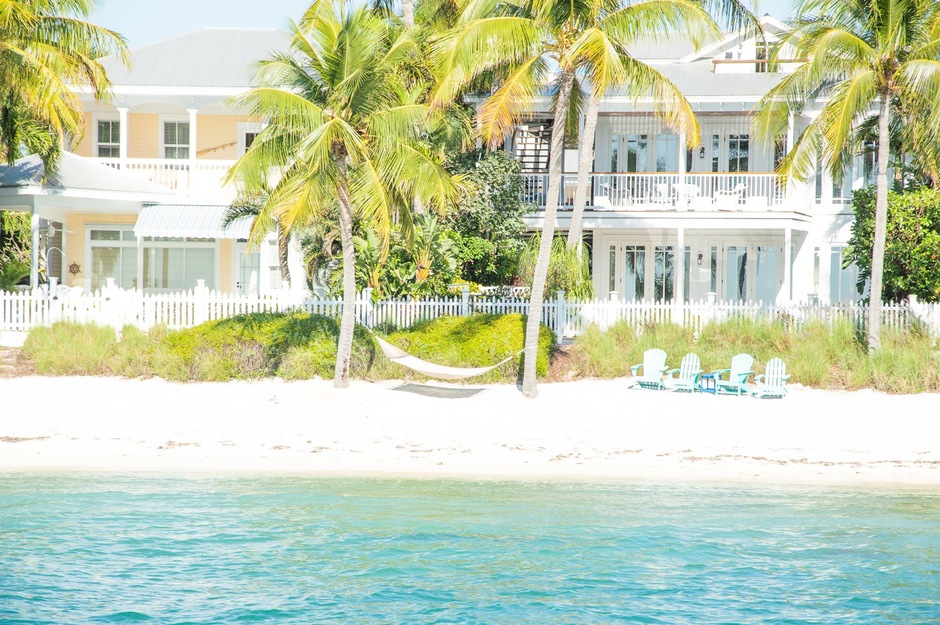 Palms and houses on the seashore