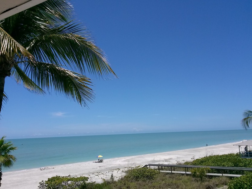 Beach palms and a wooden boardwalk
