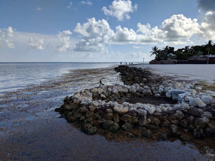 Rocks on the seashore