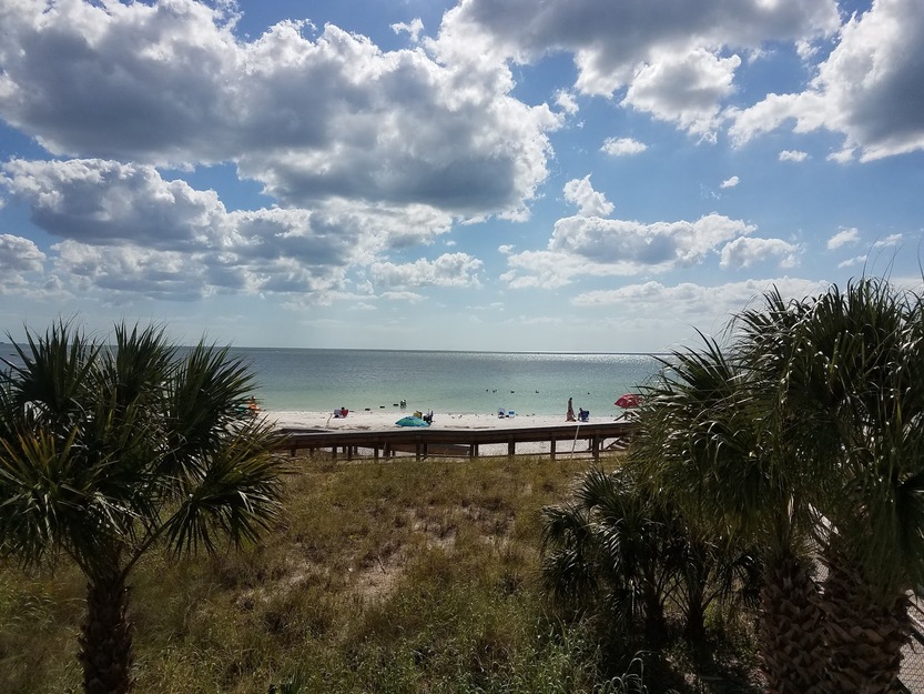 Beach view