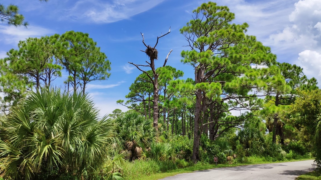 Honeymoon Island State Park