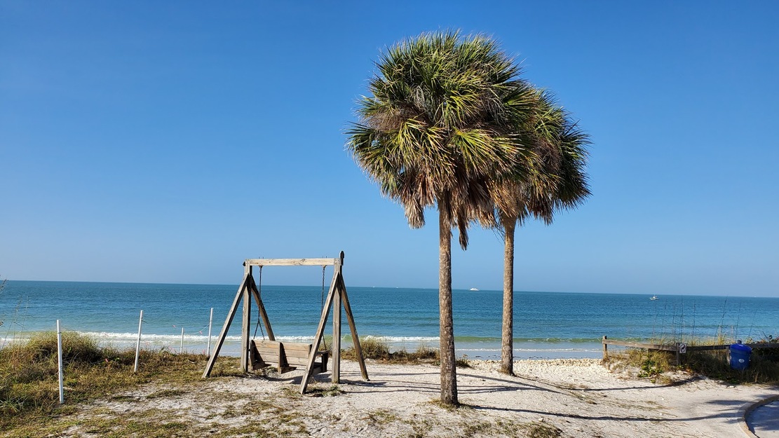 Swings and palms on the beach