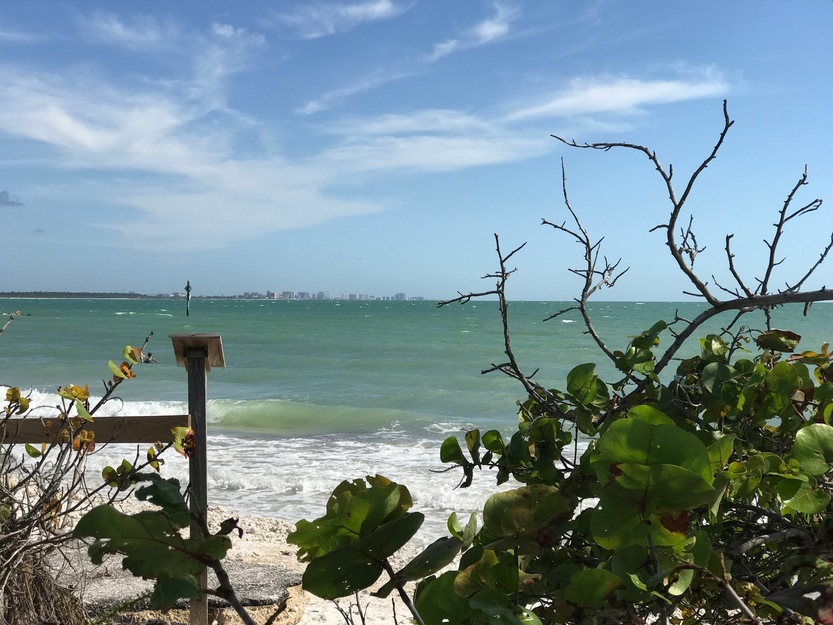 Honeymoon Island State Park Beach