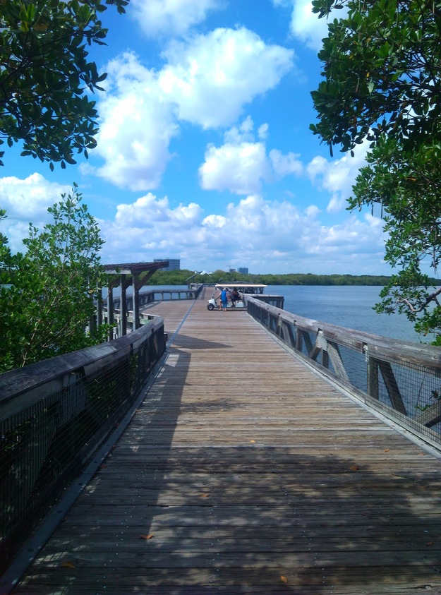 Boardwalk over the sea