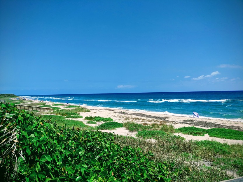 Grassy beach