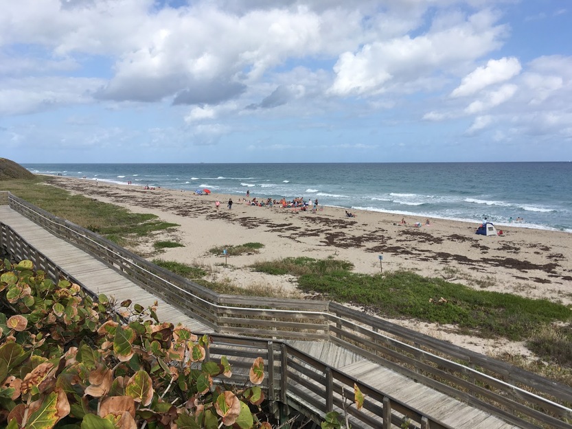 Beach boardwalk