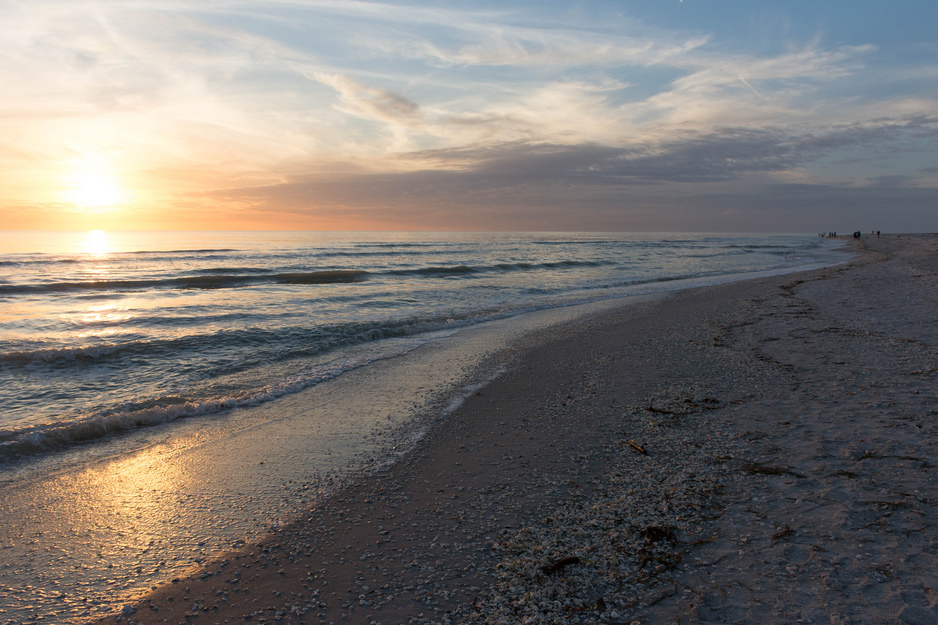 Bowman's beach shore