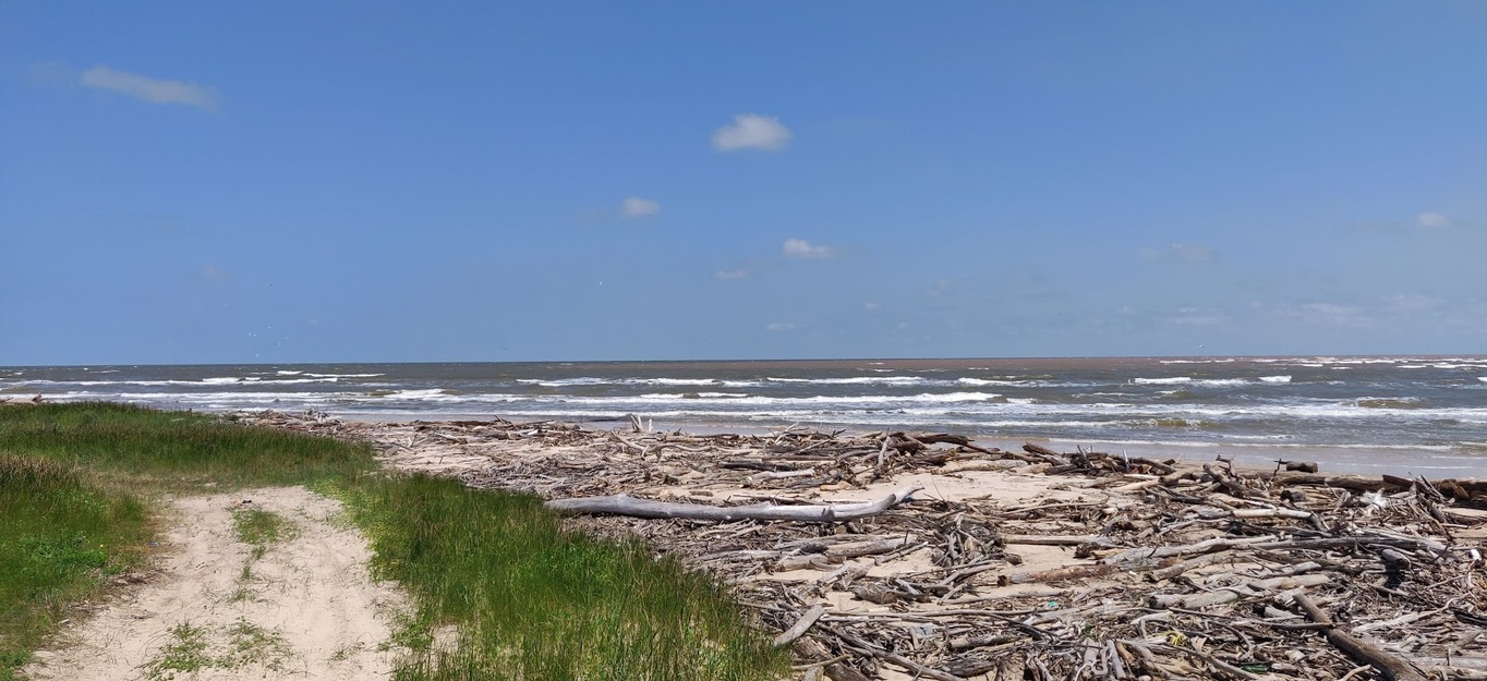 Seashore