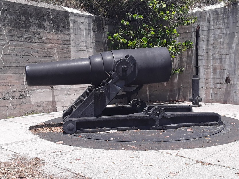 Cannon