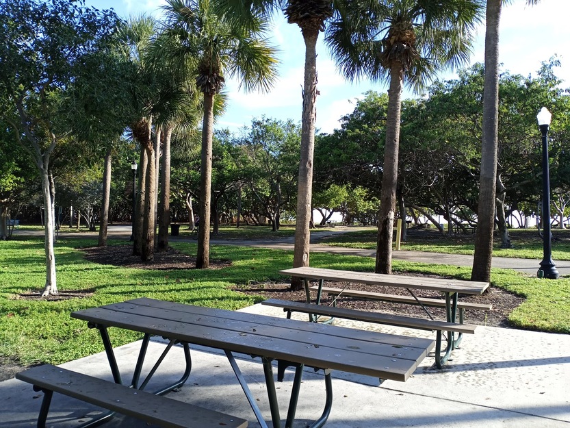 Benches and trees in North Shore Open Space Park