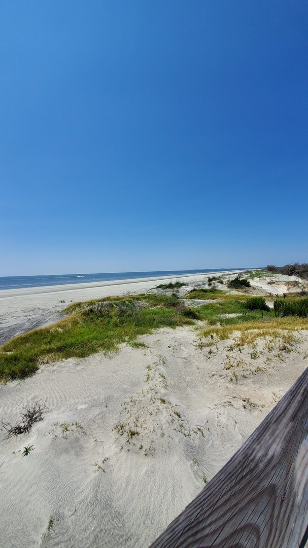 Wild beach