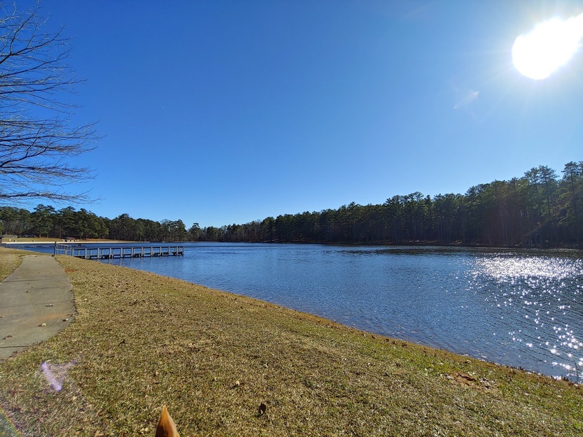 Lake and forest