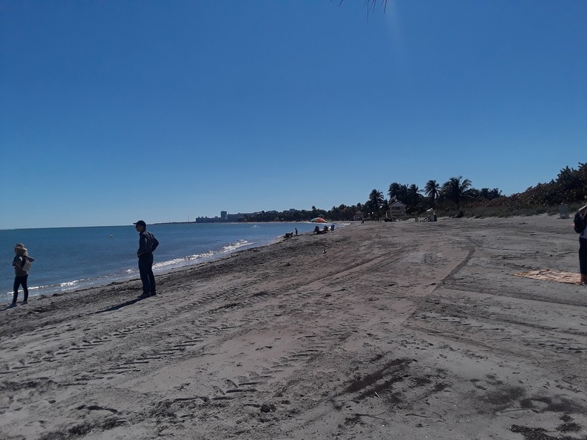 Man on the beach