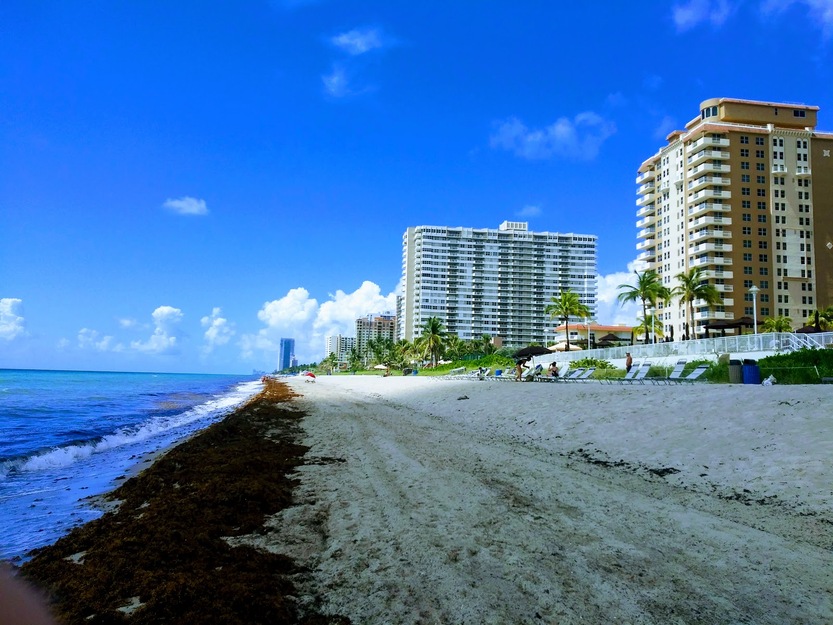 City beach